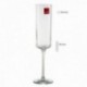 Set 6 copas cava 23 cm. Medium forma recta transparente 17 cl.