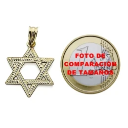 Colgante oro 18k Estrella David 23mm. tallada [7582]