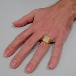 Sello oro 18k caballerotallado hueco [7501]
