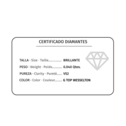 Pendientes Oro 18k chatón 5.5 mm. diamante centro 0.02ct.