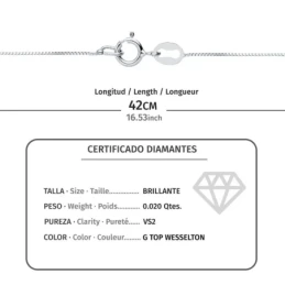 Gargantilla Oro Blanco 18k mujer 42 cm.colgante estrella 5.5 mm. diam