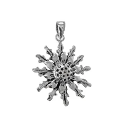 Colgante con Flor Eguzkilore en Plata de Ley 925m de 20 mm. con detal