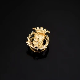 Ciencias Exactas Insignia Profesional Escudo Oro 18k unisex 17 mm. al