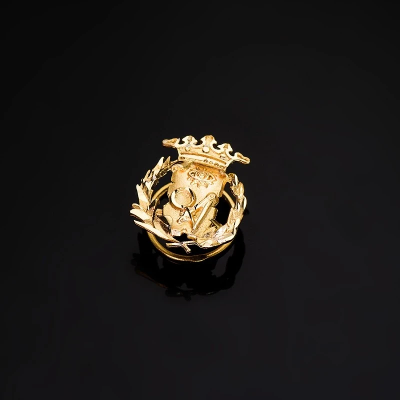 Ciencias Exactas Insignia Profesional Escudo Oro 18k unisex 17 mm. al
