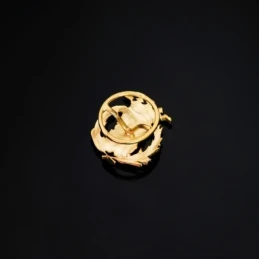 Ciencias Exactas Insignia Profesional Escudo Oro 18k unisex 17 mm. al