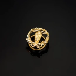 Electrónico Insignia Profesional Escudo Oro 18k unisex 16 mm. alfiler
