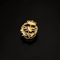 Informática Insignia Profesional Escudo Oro 18k unisex 18 mm. alfiler