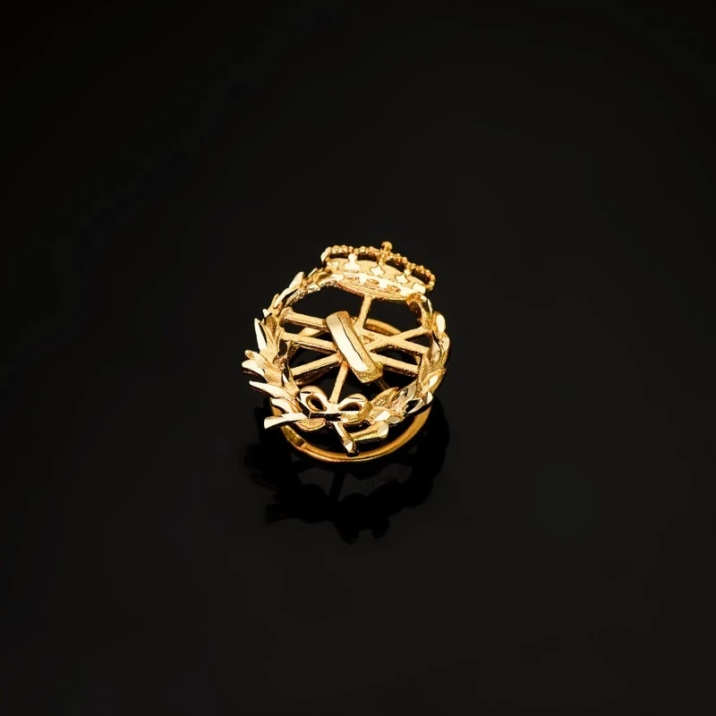 Informática Insignia Profesional Escudo Oro 18k unisex 18 mm. alfiler