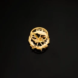 Informática Insignia Profesional Escudo Oro 18k unisex 18 mm. alfiler