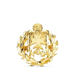 Enfermería Isignia Profesional Escudo Oro 18k unisex 17 mm. solapero