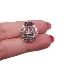 Insignia Profesional de Empresariales 18 mm. Plata de Ley 925m macizo