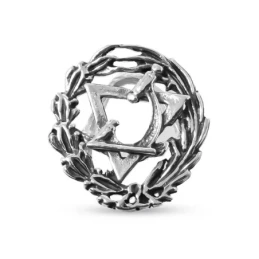 Insignia Profesional de Óptico 17 mm. Plata de Ley 925m macizo escudo