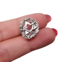 Insignia Profesional de Óptico 17 mm. Plata de Ley 925m macizo escudo