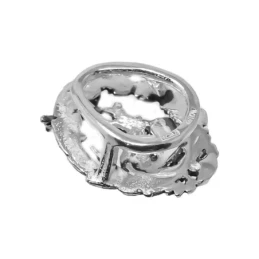 Insignia Profesional de Física 18 mm. Plata de Ley 925m macizo escudo