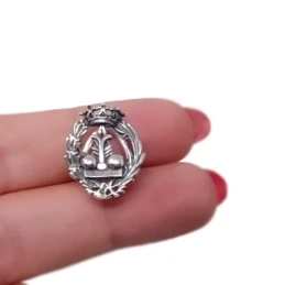 Insignia Profesional de Física 18 mm. Plata de Ley 925m macizo escudo