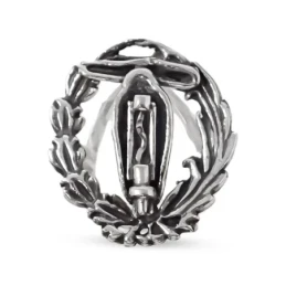 Insignia Profesional Ingeniería Electrónica 18 mm. Plata de Ley 925m