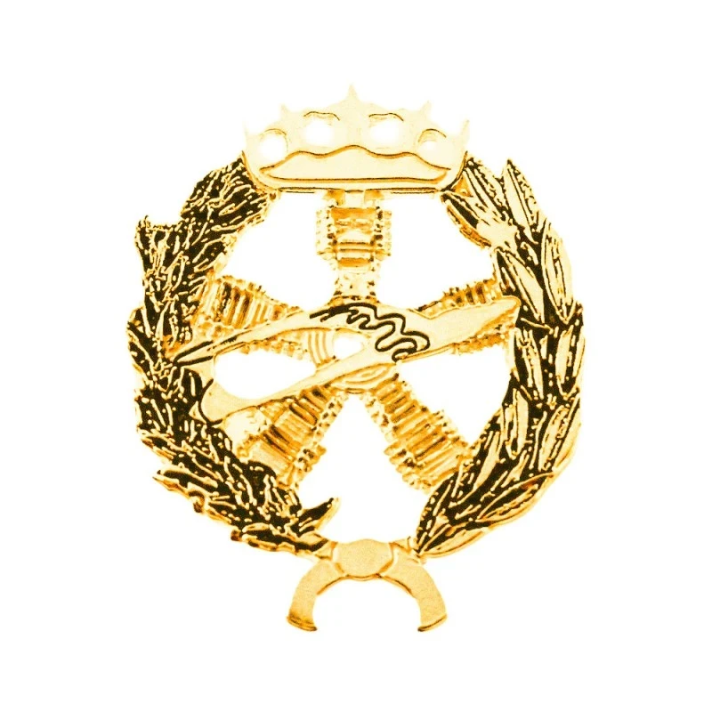 Insignia profesional Ingeniero Aeronáutico y del Espacio oro 18k escu