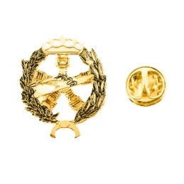 Insignia profesional Ingeniero Aeronáutico y del Espacio oro 18k escu