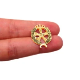 Insignia profesional Ingeniero Aeronáutico y del Espacio oro 18k escu