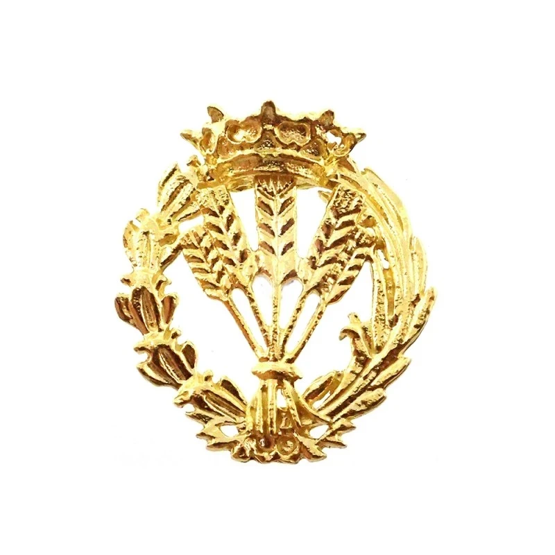 Insignia profesional Ingeniero Agrónomo escudo oro 18k 17 mm. pin cie