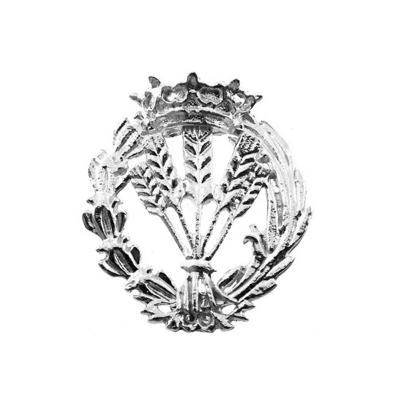Insignia profesional Ingeniero Agrónomo escudo plata 925m Ley 17 mm.