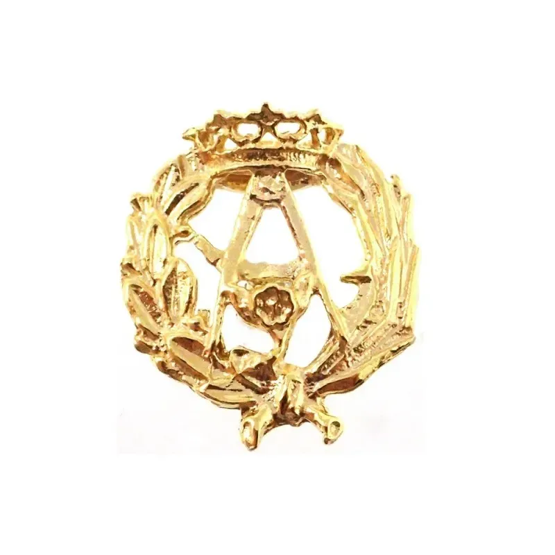 Insignia profesional Arquitectura oro 18k escudo 17 mm.. Elija cierre