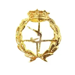 Insignia profesional Ciencias de la Actividad Física y del Deporte or