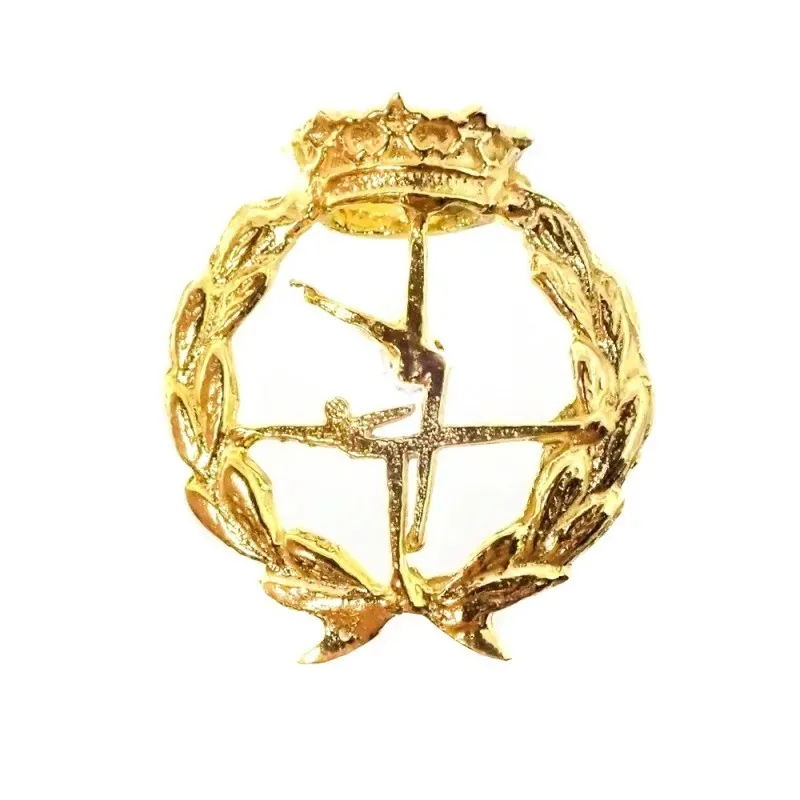 Insignia profesional Ciencias de la Actividad Física y del Deporte or