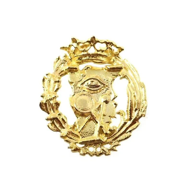 Insignia profesional Ciencias Exactas oro 18k escudo 16 mm.. Elija ci