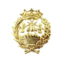 Insignia profesional Económicas oro 18k escudo 18 mm.. Elija cierre: