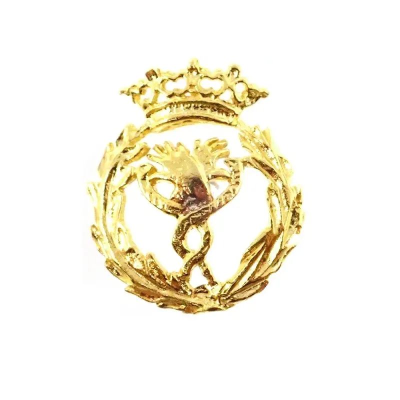 Insignia profesional Fisioterapia oro 18k escudo 18 mm.. Elija cierre