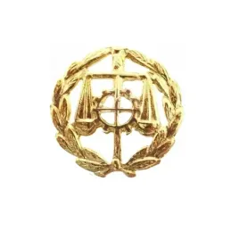 Insignia profesional Graduado Social oro 18k escudo 16 mm.. Elija cie