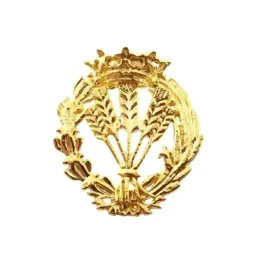 Insignia profesional Ingeniero Agrónomo oro 18k escudo 17 mm.. Elija