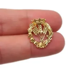 Insignia profesional Ingeniero Agrónomo oro 18k escudo 17 mm.. Elija