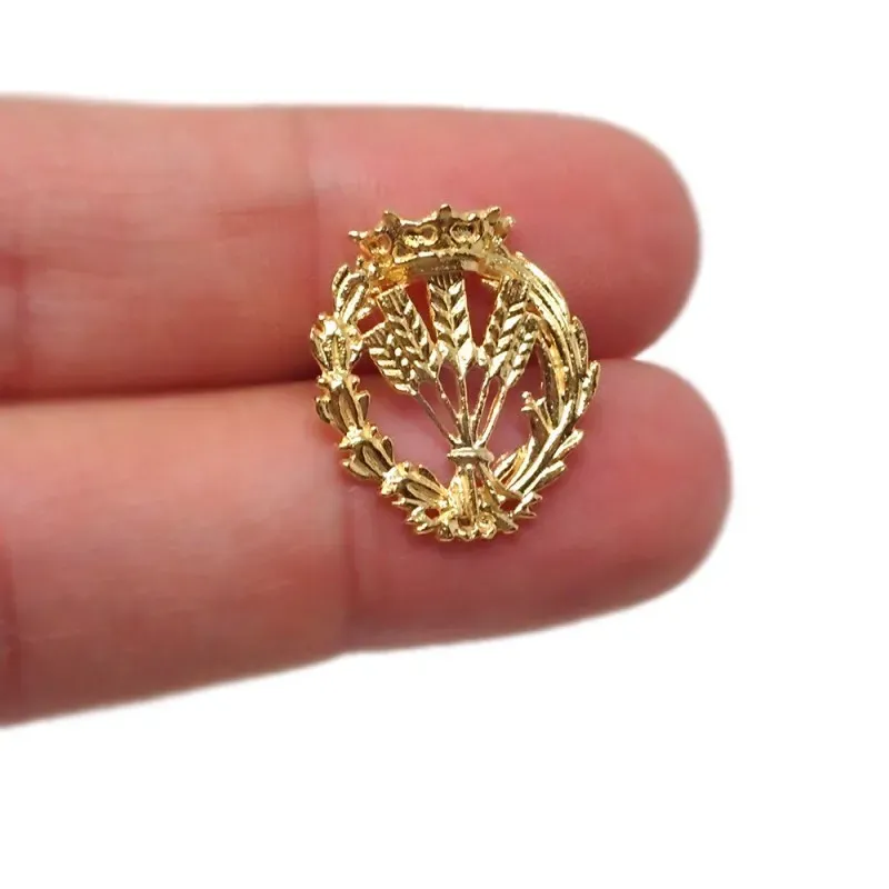 Insignia profesional Ingeniero Agrónomo oro 18k escudo 17 mm.. Elija