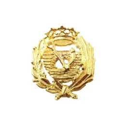 Insignia profesional Ingeniero de Caminos oro 18k escudo 17 mm.. Elij