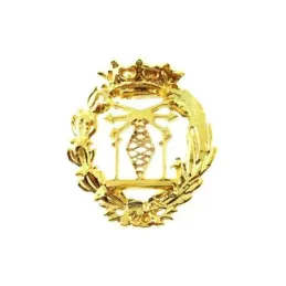 Insignia profesional Ingeniero Telecomunicaciones oro 18k escudo 17 m