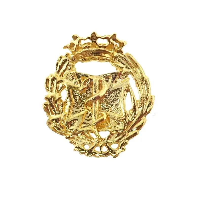 Insignia profesional Odontología oro 18k escudo 17 mm.. Elija cierre:
