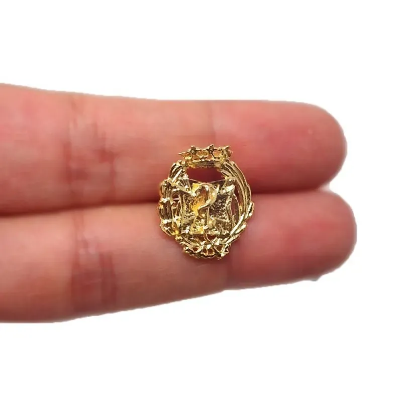 Insignia profesional Odontología oro 18k escudo 17 mm.. Elija cierre:
