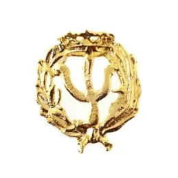 Insignia profesional Psicología oro 18k escudo 20 mm.. Elija cierre:
