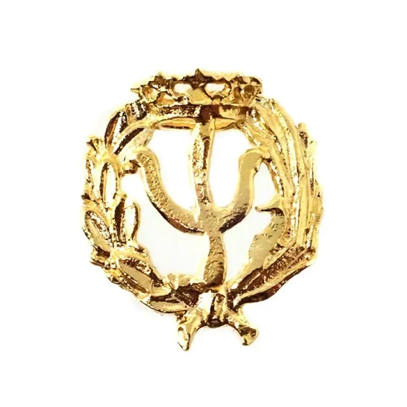Insignia profesional Psicología oro 18k escudo 20 mm.. Elija cierre: