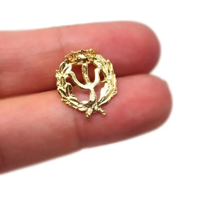 Insignia profesional Psicología oro 18k escudo 20 mm.. Elija cierre: