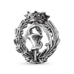 Insignia Profesional de Farmacia 19 mm. Plata de Ley 925m macizo escu