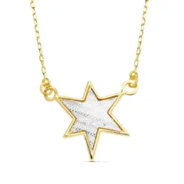 Colgante oro 18k bicolor cadena forzada 42cm. estrella 16mm. [AB8823]