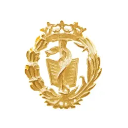 Insignia profesional Medicina escudo oro 18k 19 mm. Alfiler pin solap