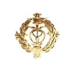 Insignia profesional Agente Comercial oro 18k escudo solapero 16mm.