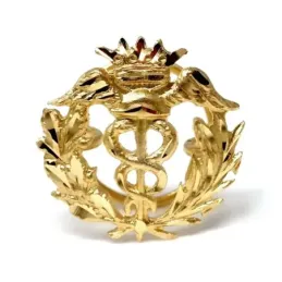 Pin solapa Comercio oro 18k insignia profesional 16mm.