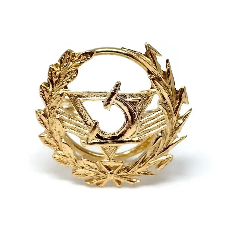 Pin solapa Óptico oro 18k insignia profesional 16mm.
