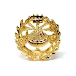Pin solapa Química oro18k insignia profesional 15mm.