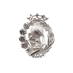 Insignia profesional Magisterio escudo plata Ley 925m 20 mm. pin cier